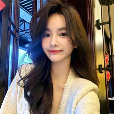 科搜研之女2022